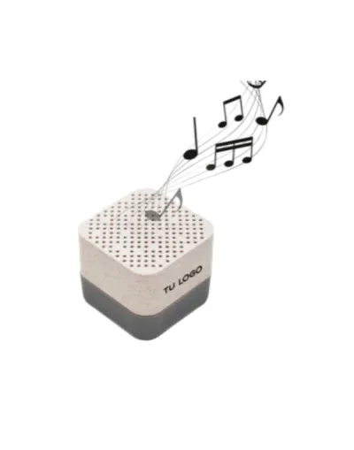 Parlante grey personalizable